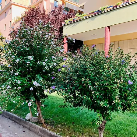 Trastverhome - House Of Cinema Apartman *